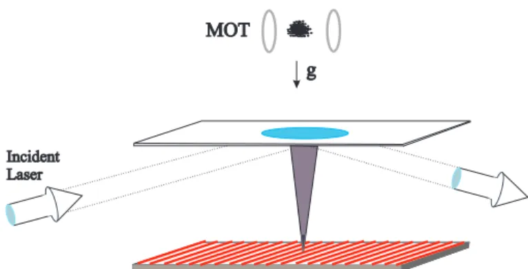 FIG. 1: Experimental setup of the Recurrence Tracking Mi- Mi-croscope: A cloud of atoms is trapped and cooled in a  mag-neto optical trap (MOT) down to the micro-Kelvin scale