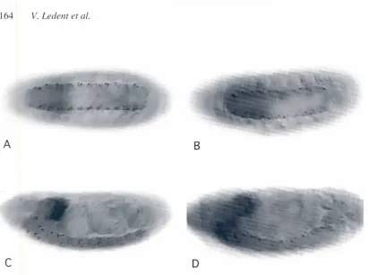 Fig. 1. Anti-Tap