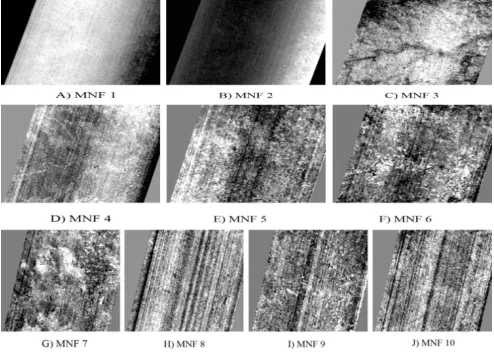 Figure 3. First Ten MNFs of 155 Channels of 