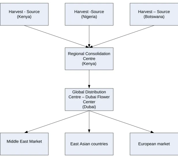Figure 5. The current (As-IS) scenario of flower supply chain    