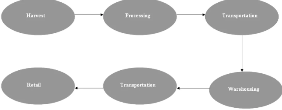 Figure 2: Cold chain logistics stages  