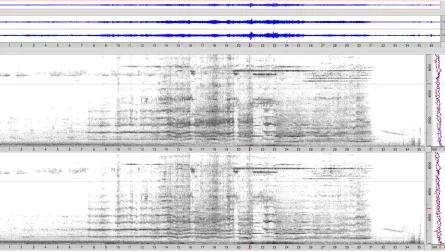 Figure 9: Sonogram of selected sample of the train braking. 