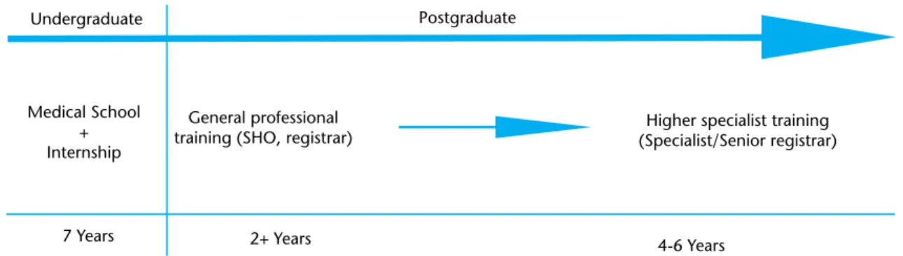 Figure 2.1 Consultant craeer path in Ireland 