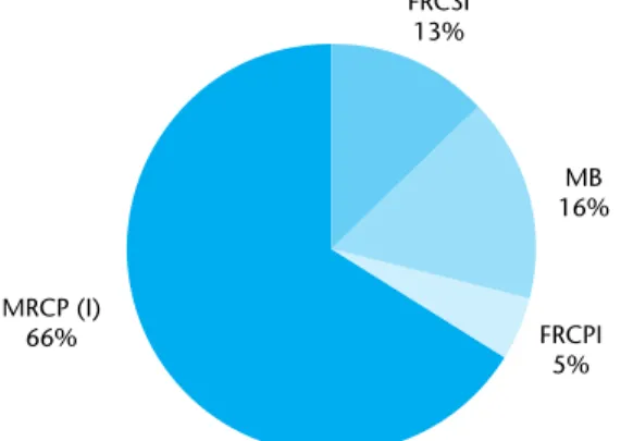 Figure 3.2  Professional qualifications of successful applicants 