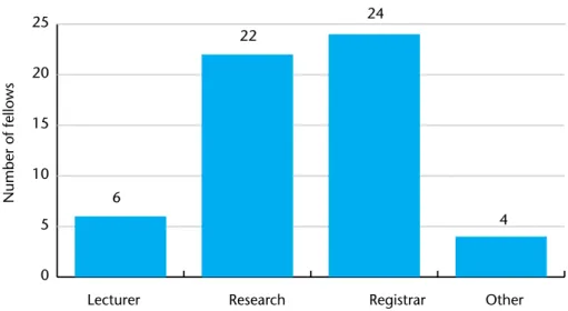 Figure 3.3  Career position at the time of application 