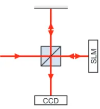Figure 3.1: Michelson interferometer with an SLM in one of the arms.