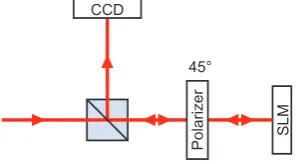 Figure 3.3: Calibration setup using a polarizer to convert phase modulation into amplitude modulation.