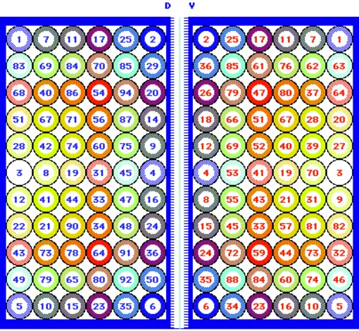 Fig. 5. (A,B) Examplesof twin clones initiatedclones of different sizeswithin the sector, anding the A/P symmetry linesplit clones, clones cross-blue and cyan)