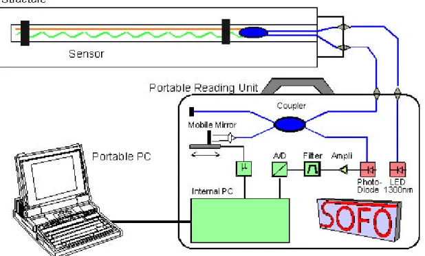 Figure 1: SOFO System Set-up 