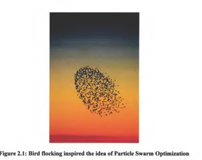 Figure 2.1: Bird flocking inspired the idea of Particle Swarm Optimization 