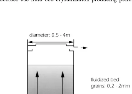 Figure 4 Cross-section through the DHV Crystalactor TM . (Based on a cross-section in Reference 66.)