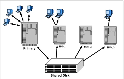 Figure 1-5   Shared disk secondary servers