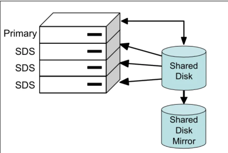 Figure 1-14   Single blade server housing the primary and three SDS servers