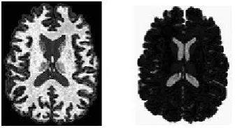 Figure  7. Image after Cluster 2  Figure  8.  Image after Cluster 3 