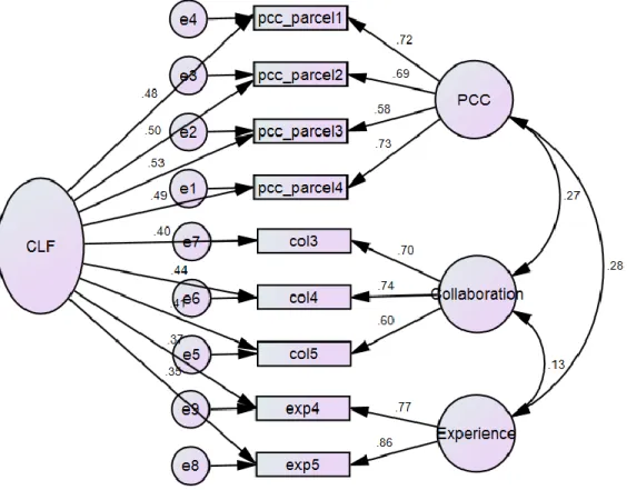 Figure 7.  Measurement model with common latent factor (physician data) 