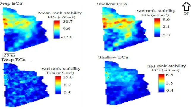 Fig. 7. Kriged spatial map of clay-silt % in the study site.