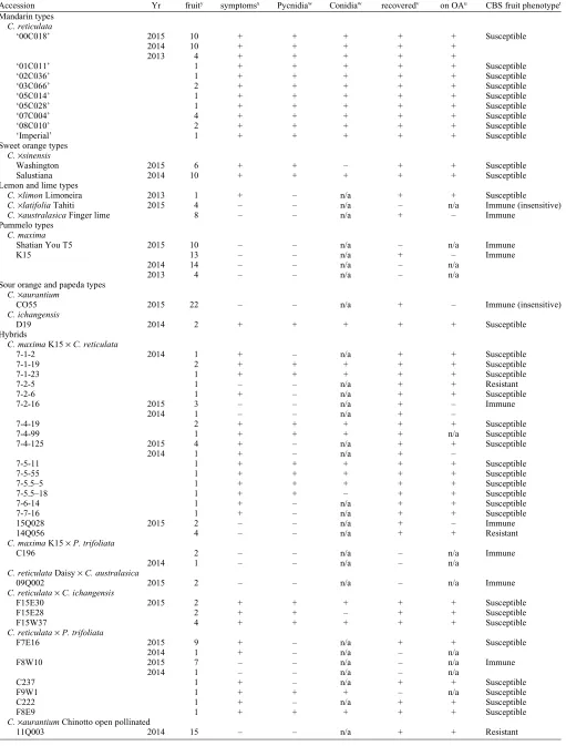 Table 1. Details and results of inoculation studies to determine the citrus black spot (CBS) phenotype of 49 citrus accessions.z
