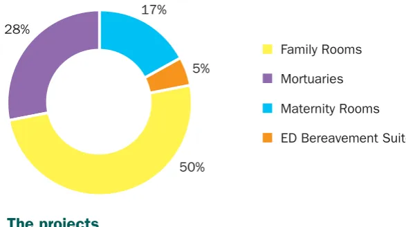 Figure 3. Overview of project types