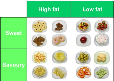 Figure 3-4 Food array used in the LFPQ 