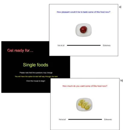 Figure 3-6 Representation of the explicit liking (a) and explicit wanting (b) trials 