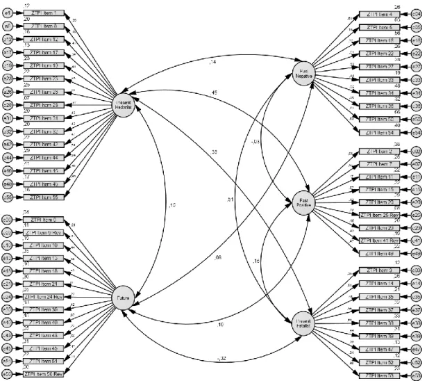 Figure 3. ZTPI Confirmatory Factor Analysis Path Diagram (Model 1) 