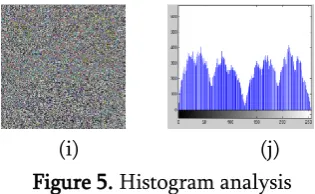 Figure 5. Histogram analysis 