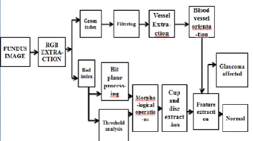Figure 3. Architecture of the Glaucoma Identification 