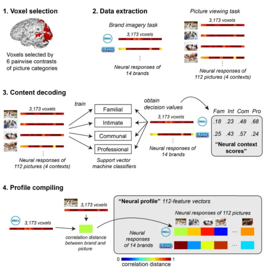 Figure 2.4 Schematic diagram of the analysis 