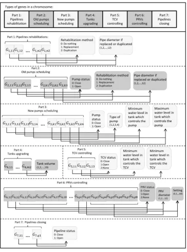 Fig. 3. Representation of genes in a chromosome in third stage 