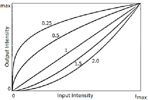 Figure 1. Input-Output Gamma Response and 