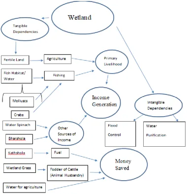 Fig 2 Tangible and intangible dependencies of local community on wetland 