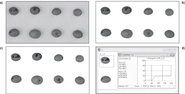Figure 1. Segmentation of table olive surface affected by bruise damage using image analysis