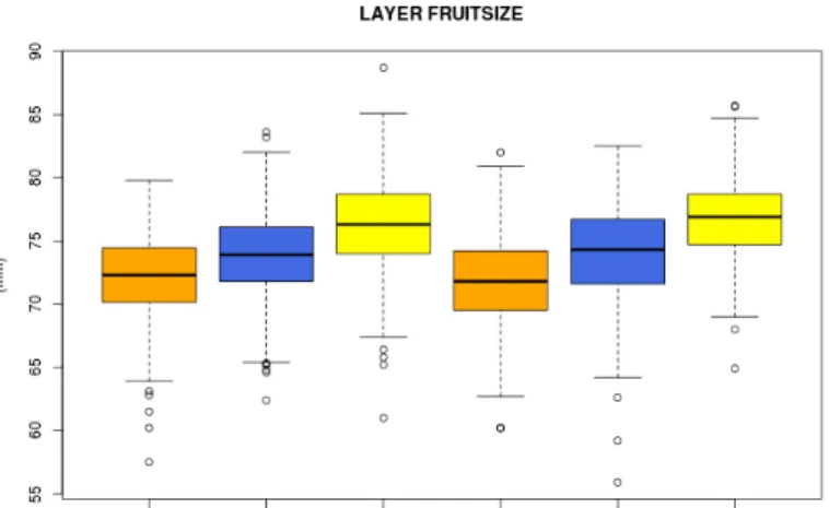 Fig. 5. a) Fruit size at harvest time comparing the four treatments (left). The adjusted p-value for  the  training systems comparison is not significant