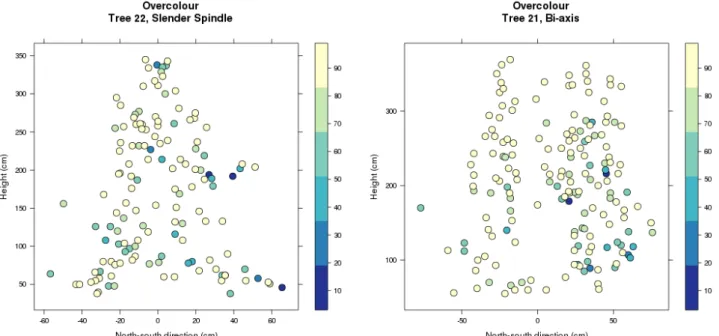 Fig. 8. a) Fruit overcolour distribution within the canopy tree of the Slender Spindle (left)