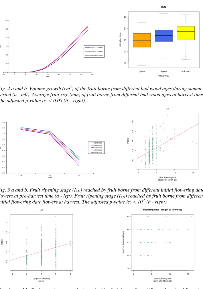 Fig. 4 a and b. Volume growth (cm 3 ) of the fruit borne from different bud wood ages during summer  period (a - left)