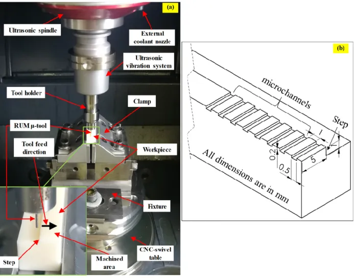 Figure 2. (a) RUM experimental set up; (b) 3D schematic of the microchannels. 
