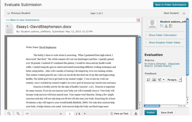 Figure A-3. Sample essay view (First essay: male author, exercise topic). 