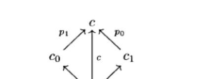 FIG. 8.The categories C(ct(N)) and C(ct(M)) for the nets in Fig. 2.