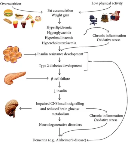 Fig. 1 Conditions associated with IR. Adapted with permission from (Verdile et al., 2015) 