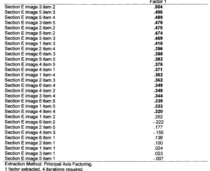 Table 4.6:  Factor Matrix for Section E (Emotional identification in  Pictures) 