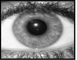 Figure 2.1: Original image 