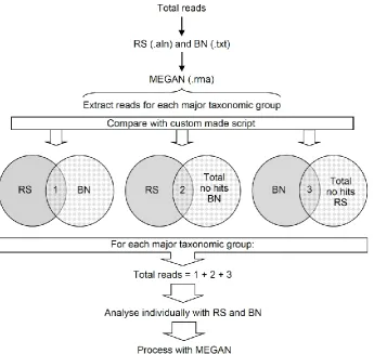 Figure S2.  General workflow to define the unequivocal taxonomical and functional profile of a sample