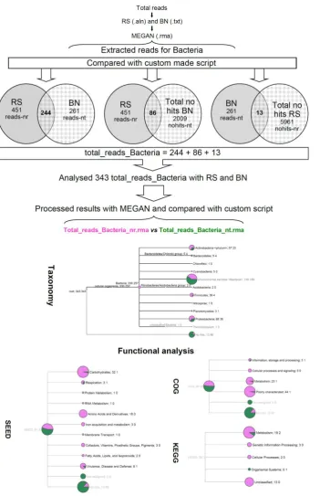 Figure S3.  Example of how the workflow was used to define the unequivocal taxonomical and functional profile of Bacteria in the sample