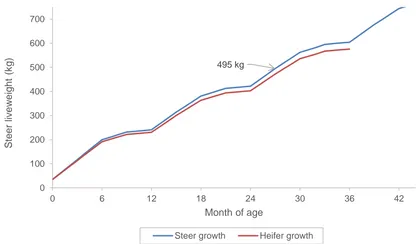 Figure 5 - Estimated steer and heifer growth paths 