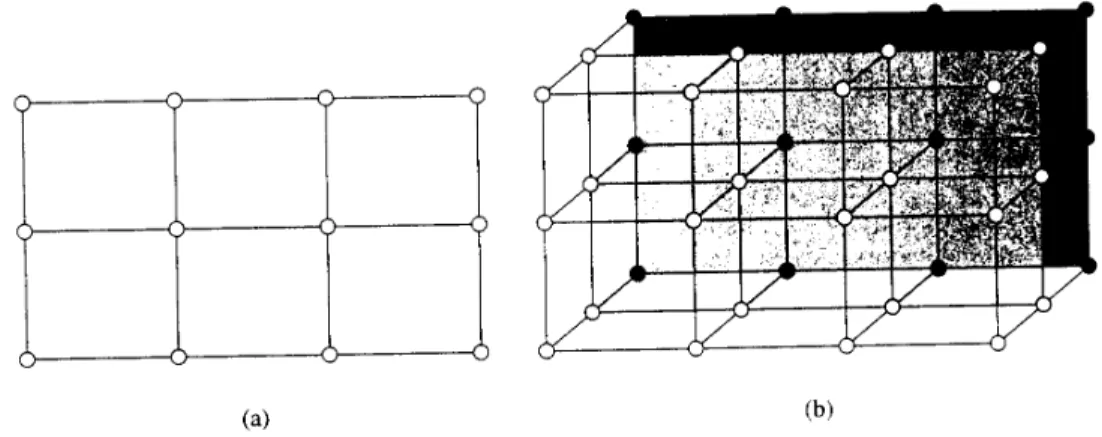 Figure 1.4: (a) Two-dimensional mesh, (b) three-dimensional mesh.
