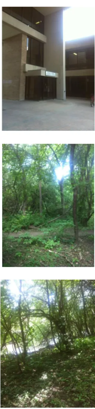 Figure 1.  Pictures of environments used in study 