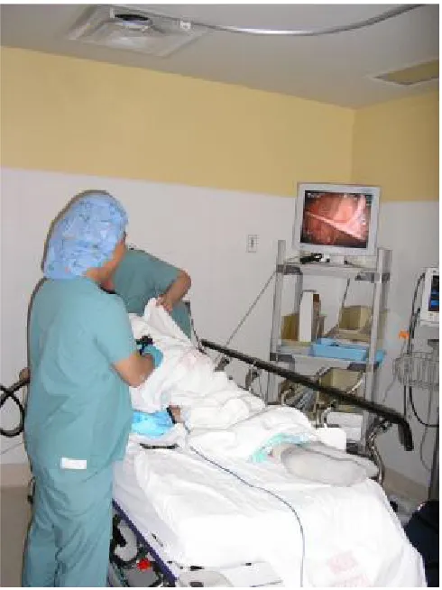Figure 1: a physician performs a colonoscopy,           source: http://www.flickr.com/photos/awong37/493065731/ 