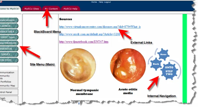 Diagram 1 – Navigation views (Main site menu, BlackBoard menu, internal navigation) 