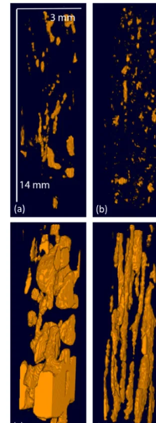 Figure 2. Three-dimensional images derived using X-ray CT tech-niques, showing subvolumes of the entire sample
