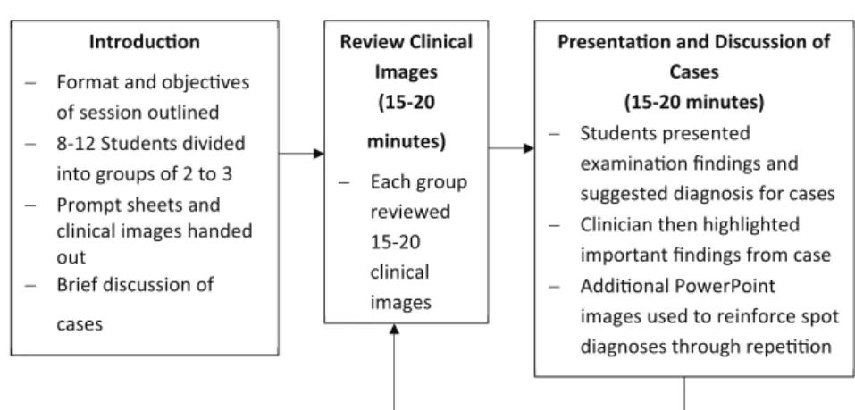 Figure 1.  Structure of digital PBL sessions – 59 students from Norwich Medical School were divided into six groups of 8-12